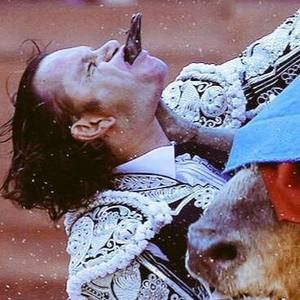 Meet your Posher, Jose